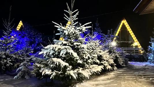 Рай в шалаше в Светлом - 405