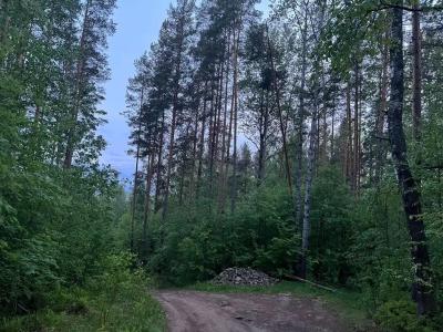 Рай в шалаше в Светлом - 445