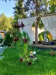 Рай в шалаше в Светлом - 431