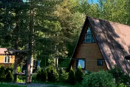 Рай в шалаше в Светлом - 557