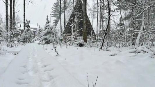 Рай в шалаше в Светлом - 618