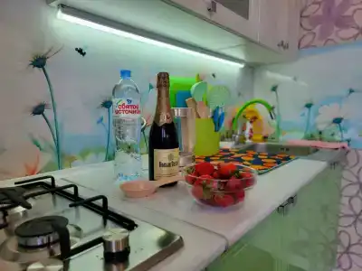 Дача Удача - 19