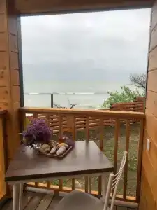 Амбассадор - 115