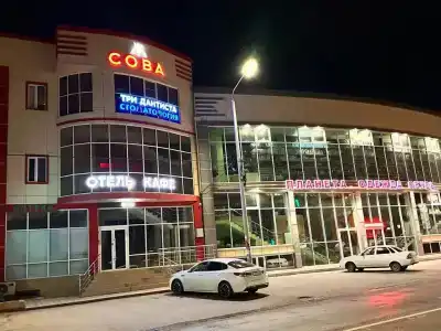 Сова - 1