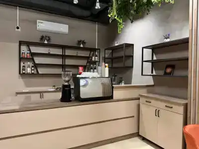 Сова - 3