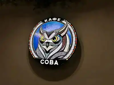 Сова - 4