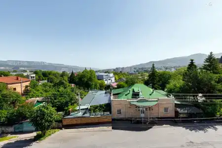Береза - 7