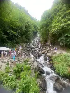 Никас-Эшера - 21