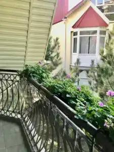 Розмарин - 6