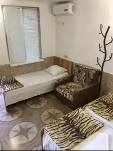 Флора - 18