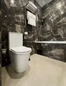 Сканди - 65