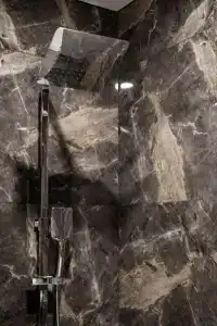 Сканди - 85