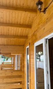 Eco Babú - 5