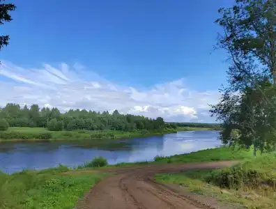 Любытино-Хутор - 11