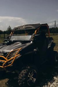 Саянский марал - 17