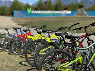 Саянский марал - 21