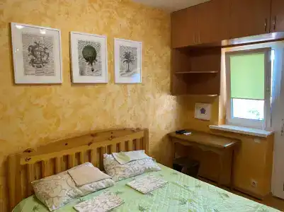 Дельфиниум - 28