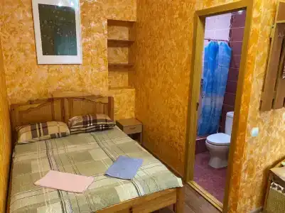 Дельфиниум - 29