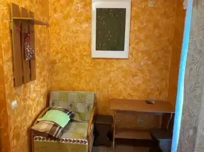 Дельфиниум - 30