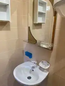 Дельфиниум - 32