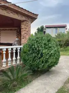 Дарси - 22