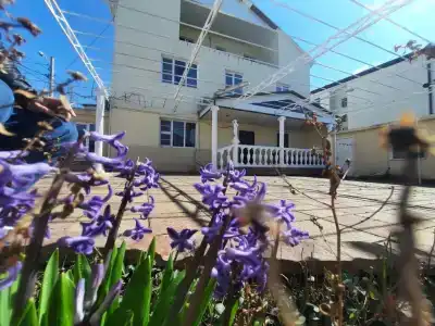 Анелли - 1