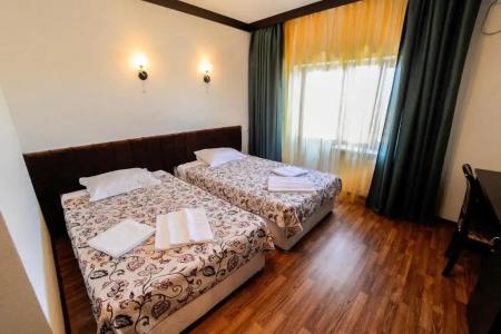 Виноградная лоза - 21