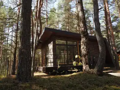 Вино и Сосны - 1