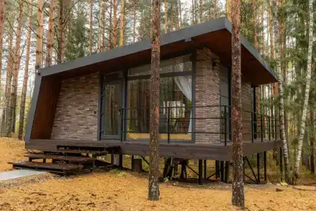 Вино и Сосны - 2