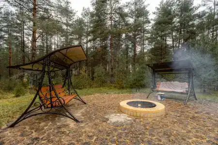 Вино и Сосны - 4