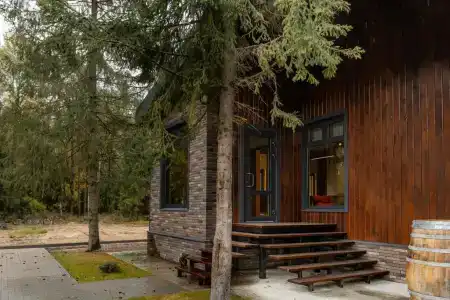 Вино и Сосны - 6