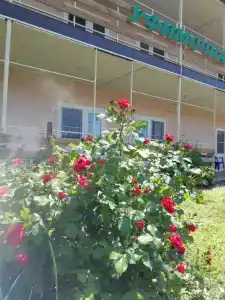 Уфимочка - 33