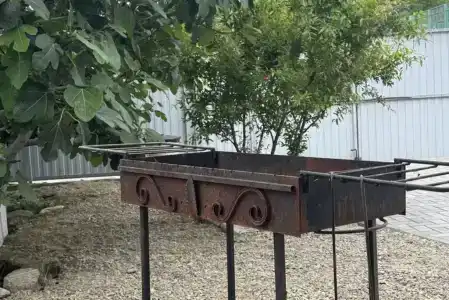 Инжир - 3
