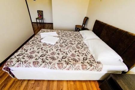 Виноградная лоза - 28