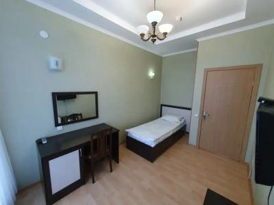 Астра - 9