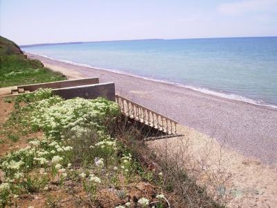 Приморская - 32