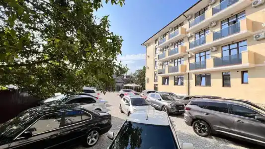 Арт - 12