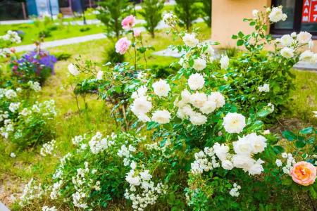 Скала парус - 62