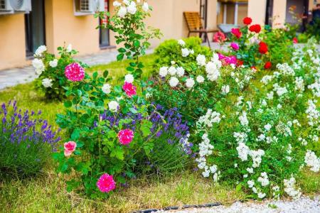 Скала парус - 63