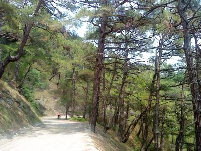 Скала парус - 69