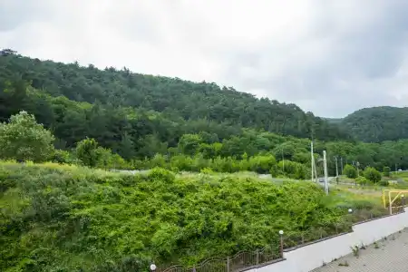 Скала парус - 94