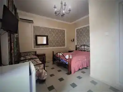 Спутник - 33