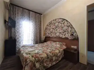 Спутник - 48