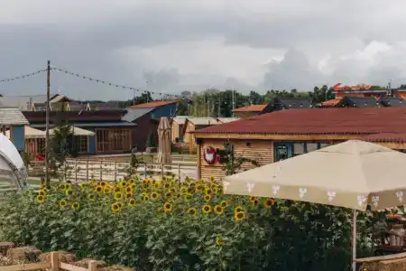 Farm&Village - 5