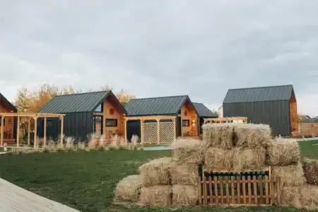 Farm&Village - 6