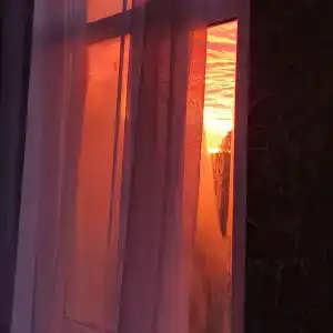 В гостях у Аслана - 107