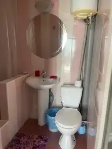 Кипарис - 152