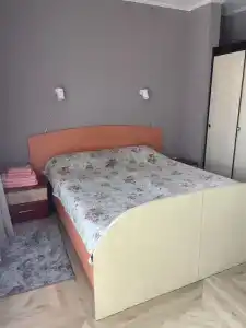 Кипарис - 158
