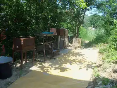 У Олюшки - 2