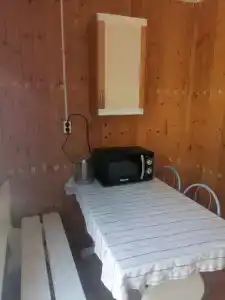 Дельфин - 2